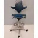 Capisco Pulse