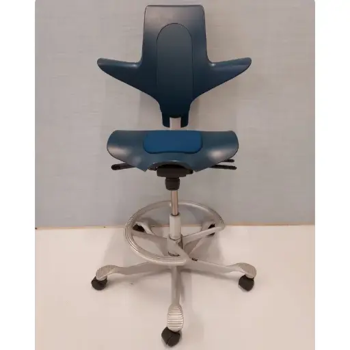 Capisco Pulse