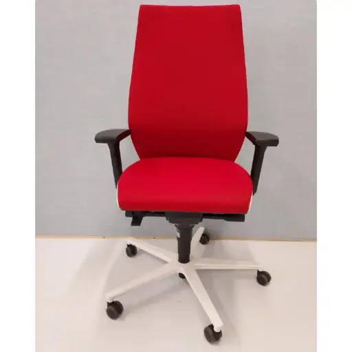 Rovo R12 met Ergo Balance